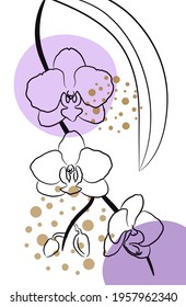 Vector orchid. Illustration for prints, covers, posters, backgrounds.