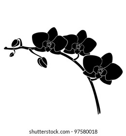 Silueta de orquídea de Vector