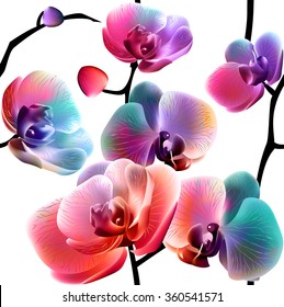Vector orchids. Seamless pattern. EPS10.
