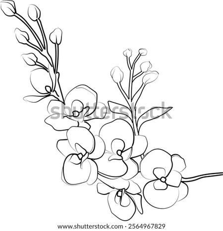 Vector Orcid flower drawing, easy Orcid flower drawing, painting Orcid coloring drawing, flower coloring pages, Orcid floral of the diagram, hand drawing flower coloring pages