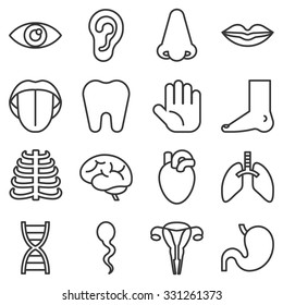 Vector organ icons set, thin line