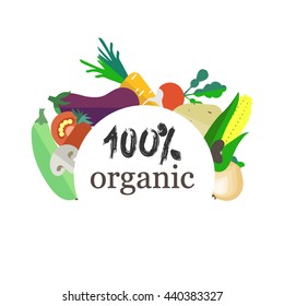 Vector organic farming vegetables. Fresh organic food.