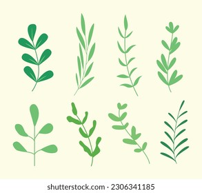 Vector Organic flat flower, leaf collection. Flower collection with leaves, floral bouquets. Vector flowers. Spring art print with botanical elements.