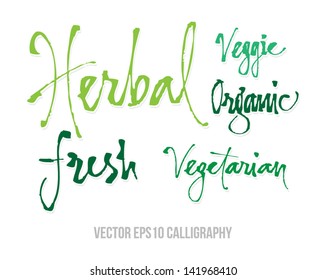 Vector "Organic" handwritten calligraphy set