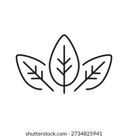 Icono de hoja orgánica de Vector, ilustración de símbolo de hoja para Web y App..eps