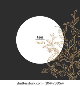 Vector organic packaging Vintage template with natural tea branch, leaf and flower Botanical art deco design. Hand draw realistic floral gold card on black background Organic food Graphic summer label