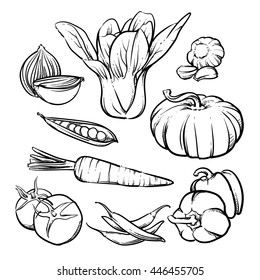 Vector organic vegetables isolated on a white background. Hand drawn tomato and garlic outline vector illustration.