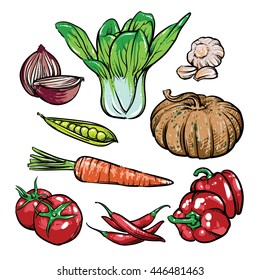 Vector organic vegetables isolated on a white background. Hand drawn tomato and garlic vector illustration.