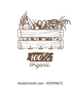 Vector organic vegetables logo. Farm eco products illustration. Hand sketched wooden box with greens. 