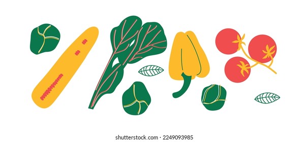 Vector Organic vegetables template. Set of juicy vegetables in cartoon style . Healthy lifestyle, vegetarianism