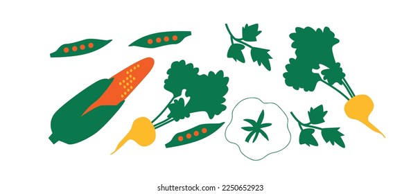 Vector Organic vegetables template. Set of juicy vegetables in cartoon style . Healthy lifestyle, vegetarianism