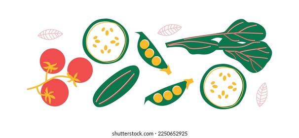 Plantilla de verduras orgánicas vectoriales. Conjunto de jugosas verduras al estilo de las caricaturas. Estilo de vida saludable, vegetarianismo