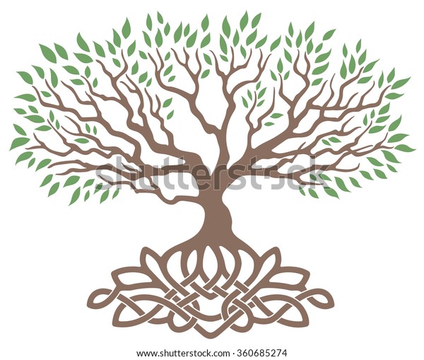 Vector Ornament Decorative Celtic Tree Life Stock Vector Royalty Free 360685274 Shutterstock 2959