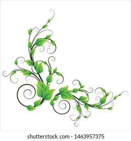vector ornament floral design elements, eps 10