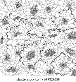 vector ornament pattern gentle black and white flowers Water lilies