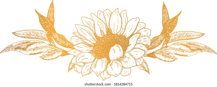 Vector ornament, a vignette of a sunflower and some branches, a design element for hot stamping, hand-drawn in ink