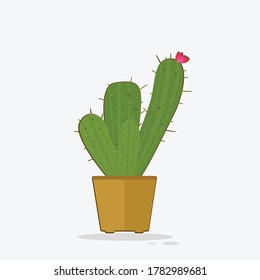 Vector ornamental cactus plants in pots