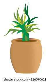 Vector ornamental plant in pot.