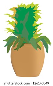 Vector ornamental plant in pot.