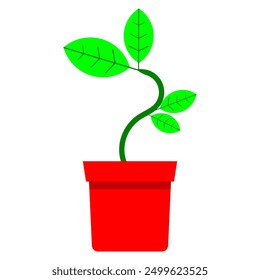vector ornamental plant. potted plants. cute plant. flat design. simple design. green plant in a red pot. room decoration plants