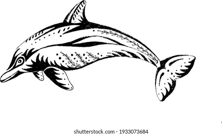 Vector ornaments dolphin in jump