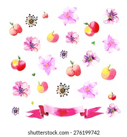 vector ornaments with painted apples, flowers, seeds and ribbon