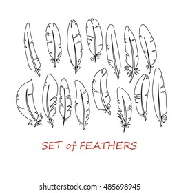 Vector Ornate Set of Stylized and Abstract Feathers. Elements for Design and Coloring Pages.