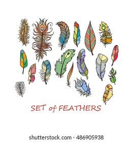 Vector Ornate Set of Stylized and Abstract Feathers. Elements for Design and Coloring Pages.
