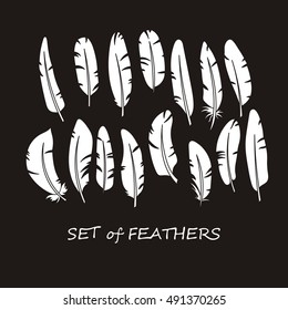 Vector Ornate Set of Stylized and Abstract Silhouette Feathers. Elements for Design and Coloring Pages.