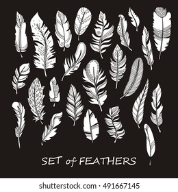 Vector Ornate Set of Stylized and Abstract Silhouette Feathers. Elements for Design and Coloring Pages.