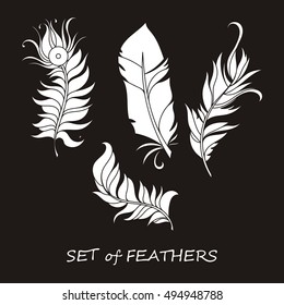 Vector Ornate Set of Stylized and Abstract Silhouette Feathers. Elements for Design and Coloring Pages.