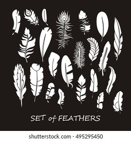 Vector Ornate Set of Stylized and Abstract Silhouette Zentangle Feathers. Elements for Design and Coloring Pages.