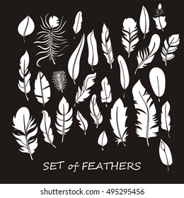 Vector Ornate Set of Stylized and Abstract Silhouette Zentangle Feathers. Elements for Design and Coloring Pages.