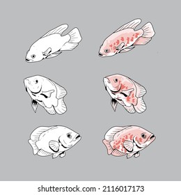 Vector Oscar Fish Character Illustration Pink Oscar
