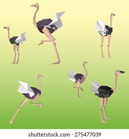 Vector ostrich