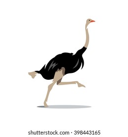 Vector Ostrich Cartoon Illustration. Big Fast Bird runs Branding Identity Corporate unusual Logo isolated on a white background