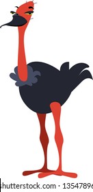 vector ostrich design: zoo series