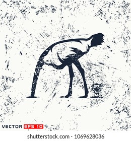 vector ostrich on grunge background
