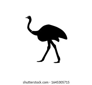 Vector ostrich silhouette. Isolated white background. For coloring or packaging design