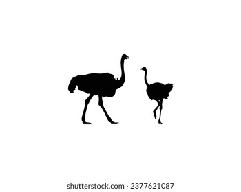 Vector ostrich silhouettes. Set of ostrich silhouettes in various poses. Set of flat ostrich icons, Vector illustration, isolated on the white background.