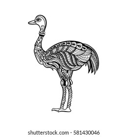 Vector of ostrich in zentangle style.Hand drawn  Black and White illustration