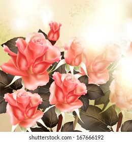 Vector outdoor background with roses and light