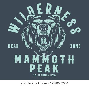 vector outdoor camping and bear illustration for t shirts print