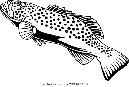 vector outine grouper fish illustration design