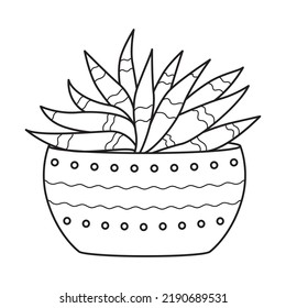 El contorno vectorial está solo en la olla. Plantas suculentas interiores con hojas carnosas. Planta de casa para el hogar y el interior. Dibujo de doodle botánico lineal en blanco y negro aislado sobre fondo blanco.