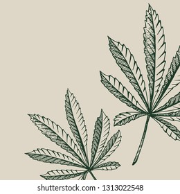 Vector outline  background of hemp plant on a beige square cannabis leaves