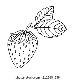 Bayas de contorno vectorial blanco y negro para decorar contornos verano comida saludable simplicidad cerezas fresa uvas