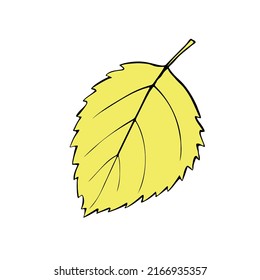 Hojas de abedul con contorno vectorial. Arte clip natural de otoño, elemento de diseño en estilo doodle. Ilustración simple dibujada a mano aislada en fondo blanco