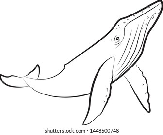 vector outline blue whale swim