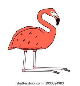 Vector outline cartoon pink peach flamingo isolated on white background. Doodle animal sleeps on bent legs at the knees, eyes closed